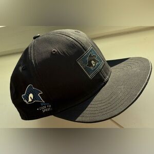 Puma Sonic the Hedgehog Cap